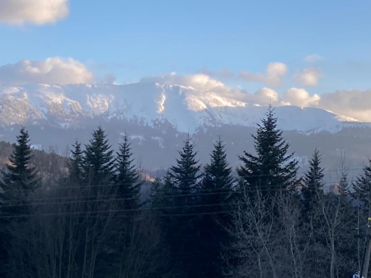 Zawoja Nad Korona Z Jacuzzi Villa Kültér fotó